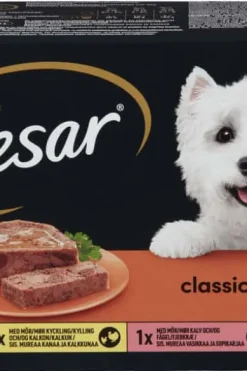 Cesar Classic Terrine 4pk 600g