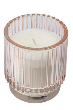 Citronella mygglys