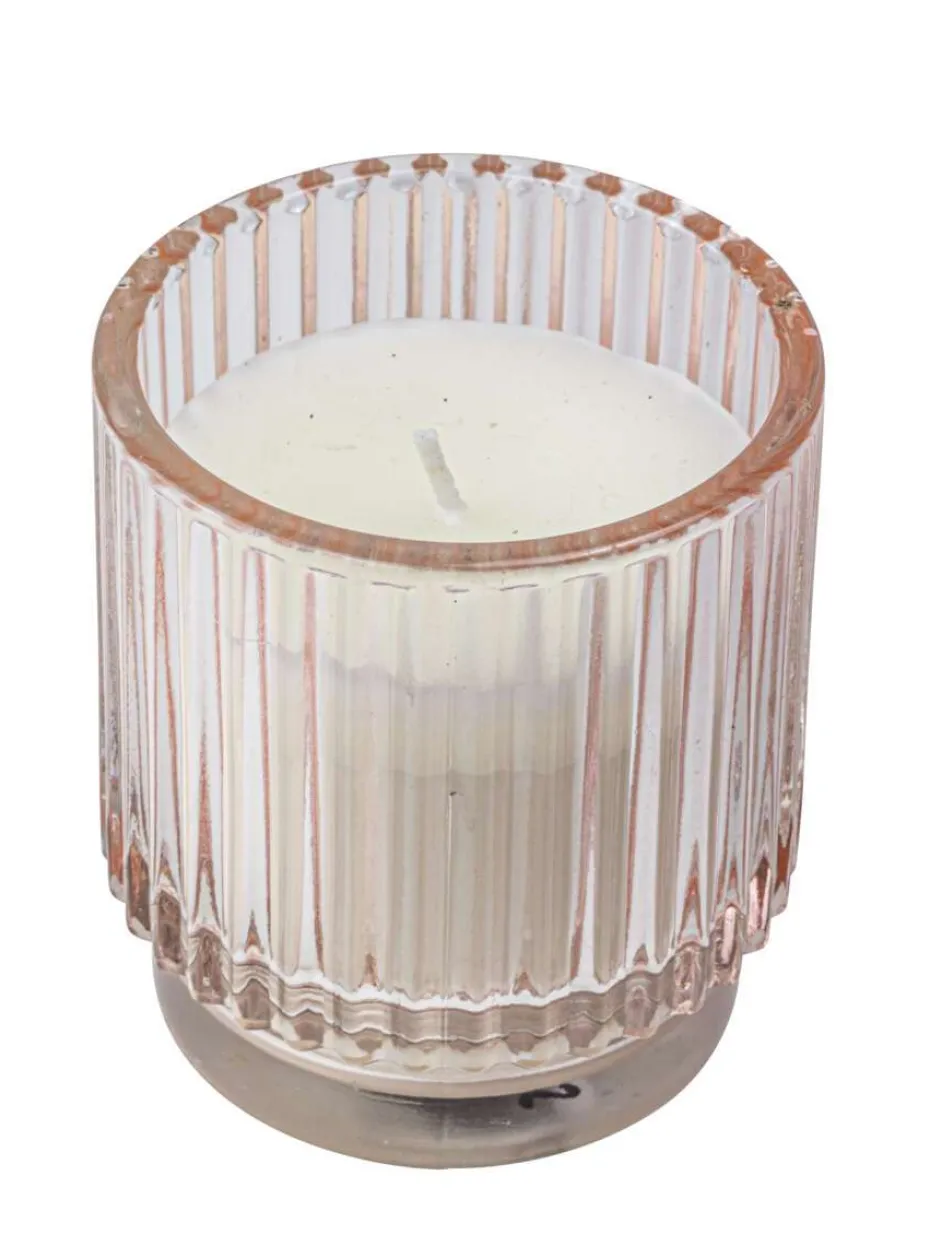 Citronella mygglys