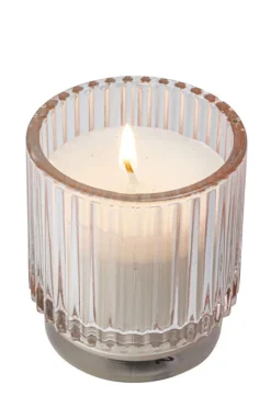 Citronella mygglys