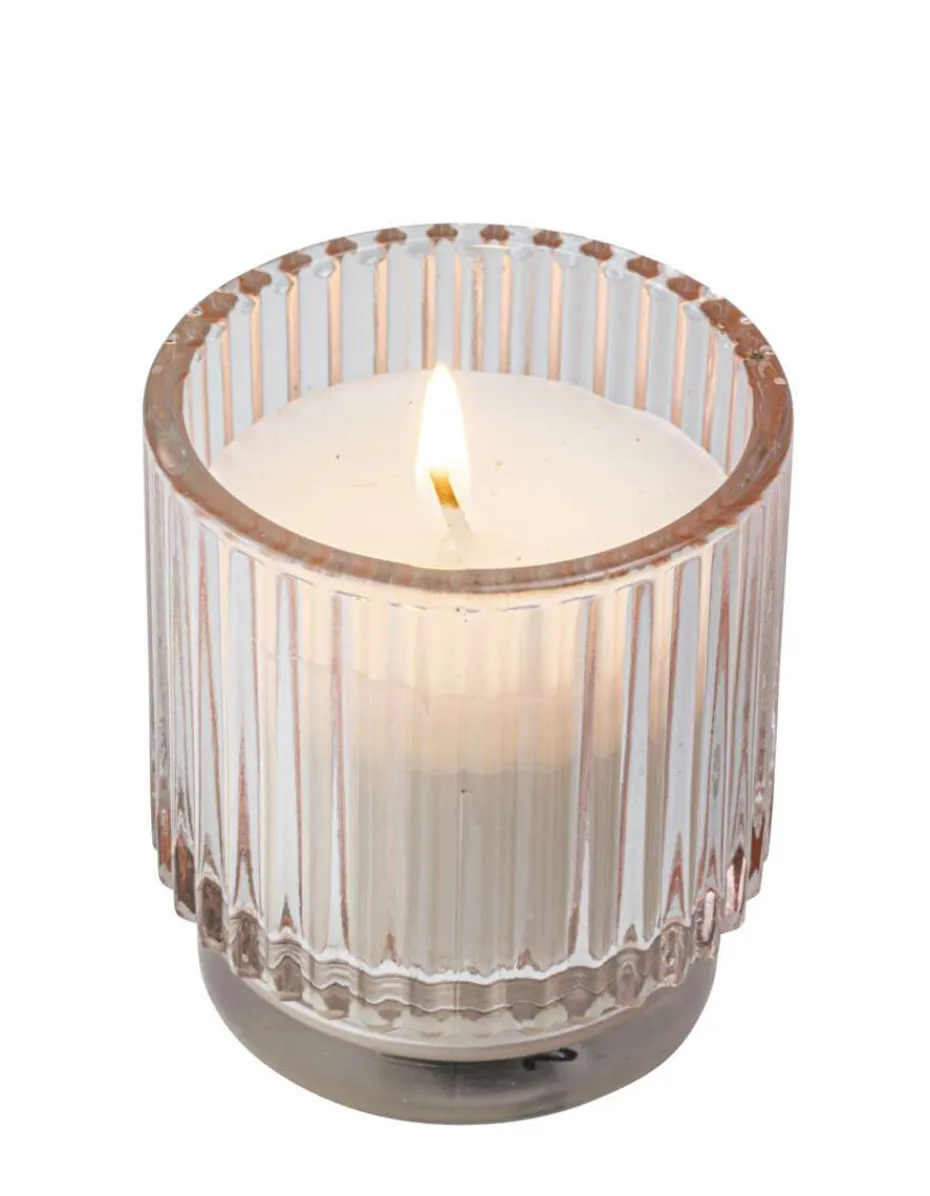 Citronella mygglys