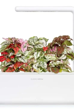 Click&Grow Smart Garden refill Polka Dot 3-pk