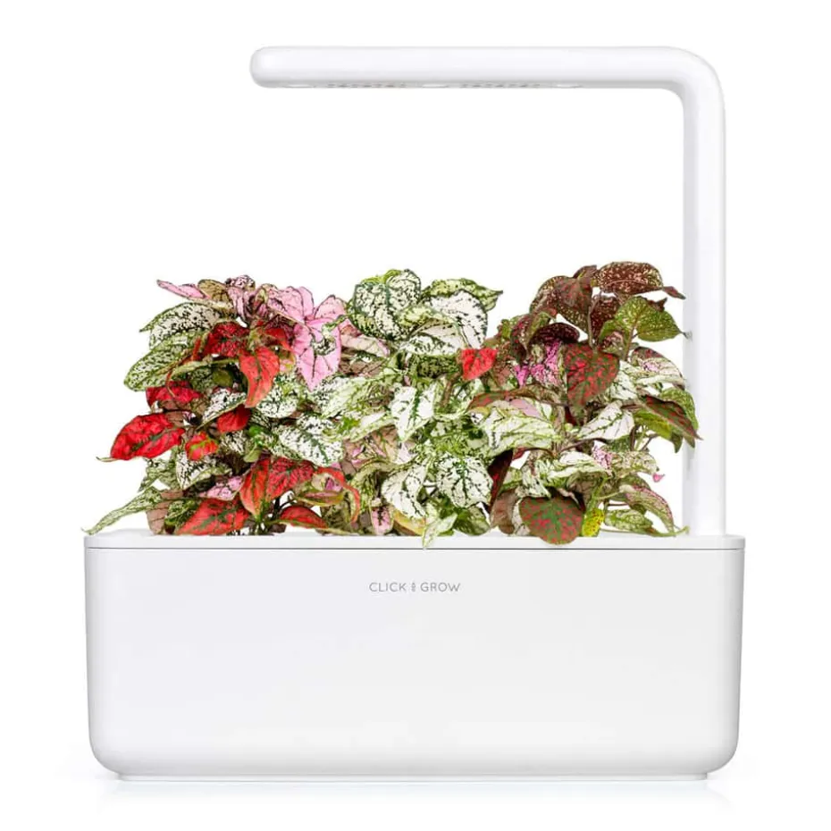 Click&Grow Smart Garden refill Polka Dot 3-pk