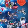 Dogman Adventskalender Katt
