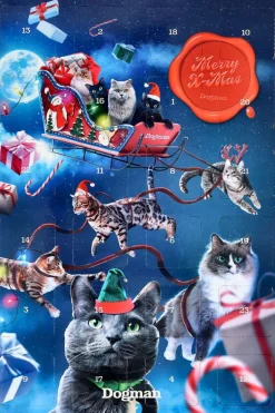 Dogman Adventskalender Katt