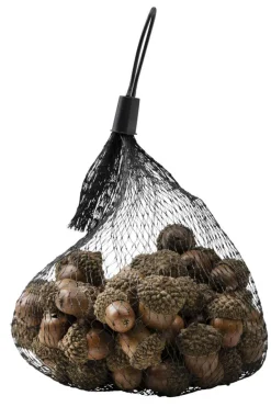 Eikenøtter dekor 200g