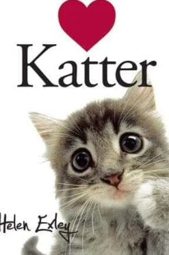 Elsker katter