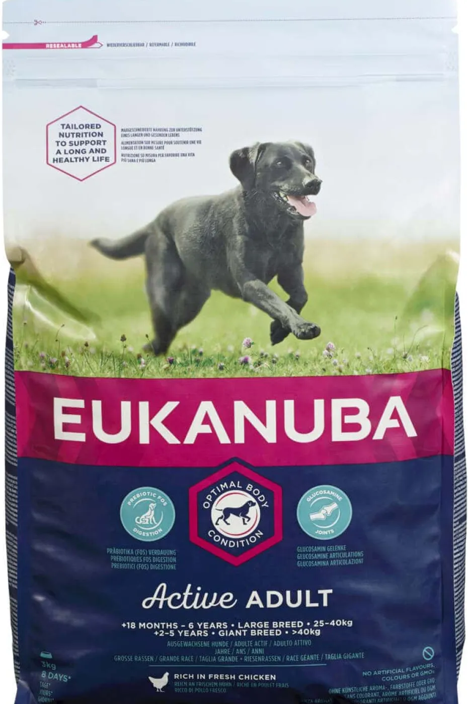 Eukanuba Dog Active Adult Large 3kg
