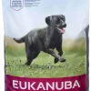Eukanuba Dog Adult Large 15kg