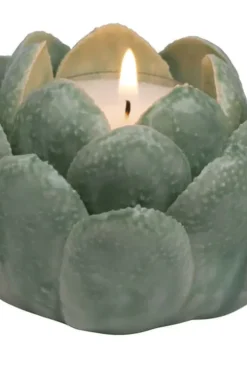 Florus Telysholder