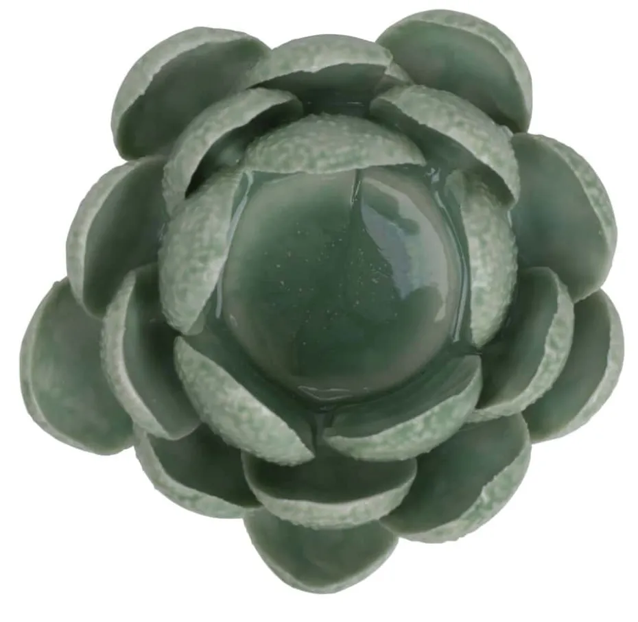 Florus Telysholder