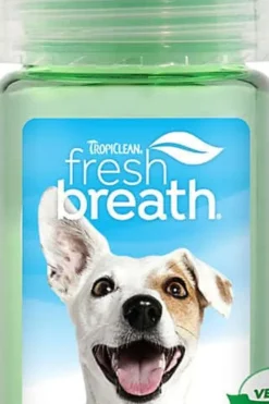 Fresh Mint Foam 133ml