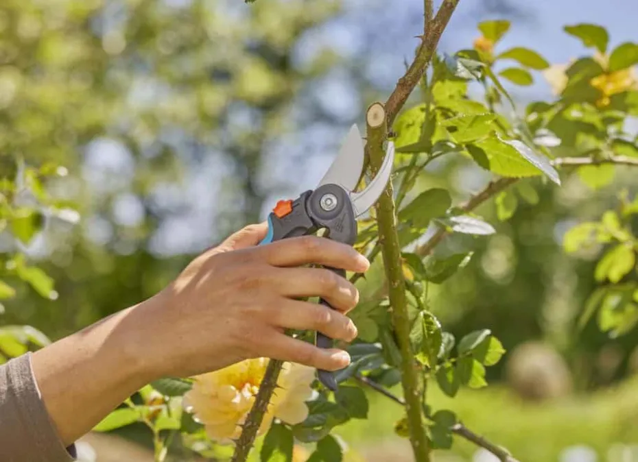 GARDENA PremiumCut Flex beskjæringssaks