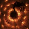 Halloween spindelvev