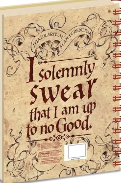 Harry Potter™ A5 notatbok