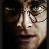 Harry Potter™ 3D bilde Harry Potter vs Voldemort