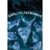 Harry Potter™ Expecto Patronum plakat