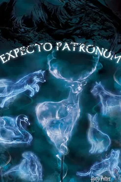 Harry Potter™ Expecto Patronum plakat
