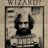 Harry Potter™ Sirius wanted plakat