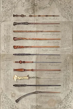 Harry Potter™ The Wands plakat