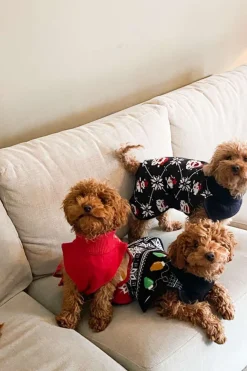 Hudson hundegenser med julemotiv