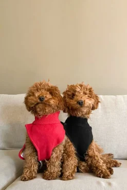 Hudson hundegenser med nissemotiv