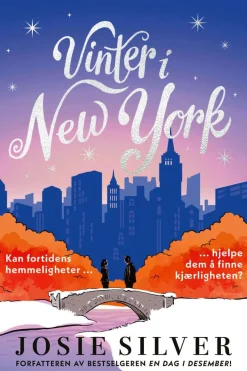 Josie Silver: Vinter i New York