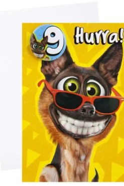 Kort 9 år Hund