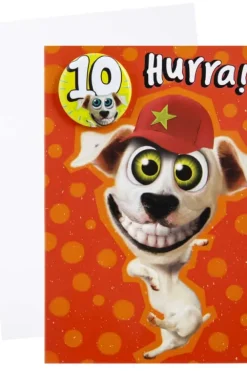 Kort 10 år Hund