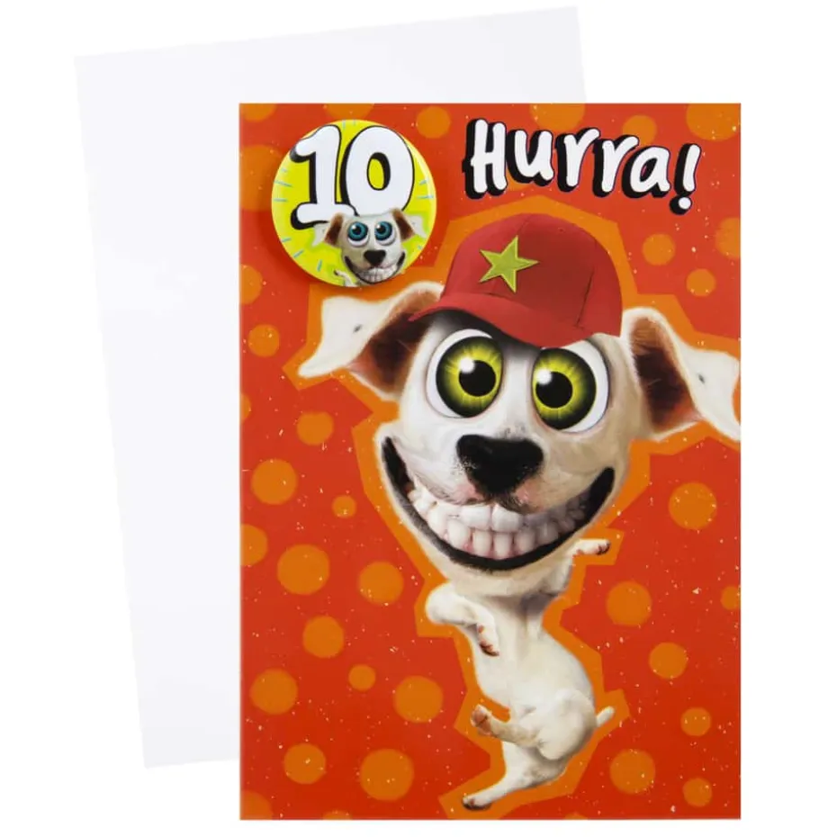 Kort 10 år Hund