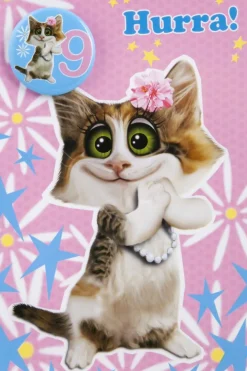 Kort 9 år Søt katt