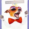 Kort Ha en super bursdag!