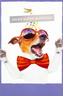 Kort Ha en super bursdag!