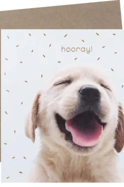 Kort Hooray!