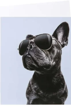 Kort Hund med solbriller