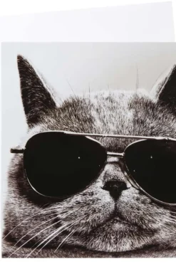 Kort Katt med solbriller