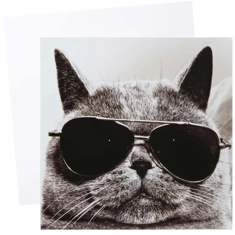Kort Katt med solbriller