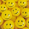 Kort Smiley