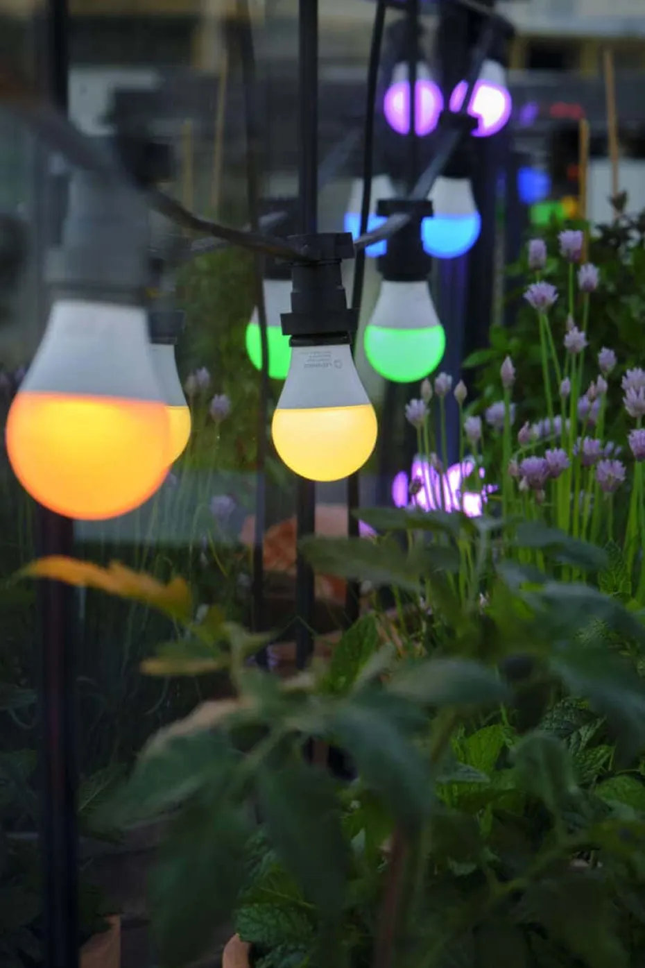 Ledvance Smart+ WiFi RGB classic pære