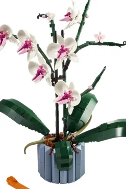 LEGO® Botanicals 10311 Orkidé