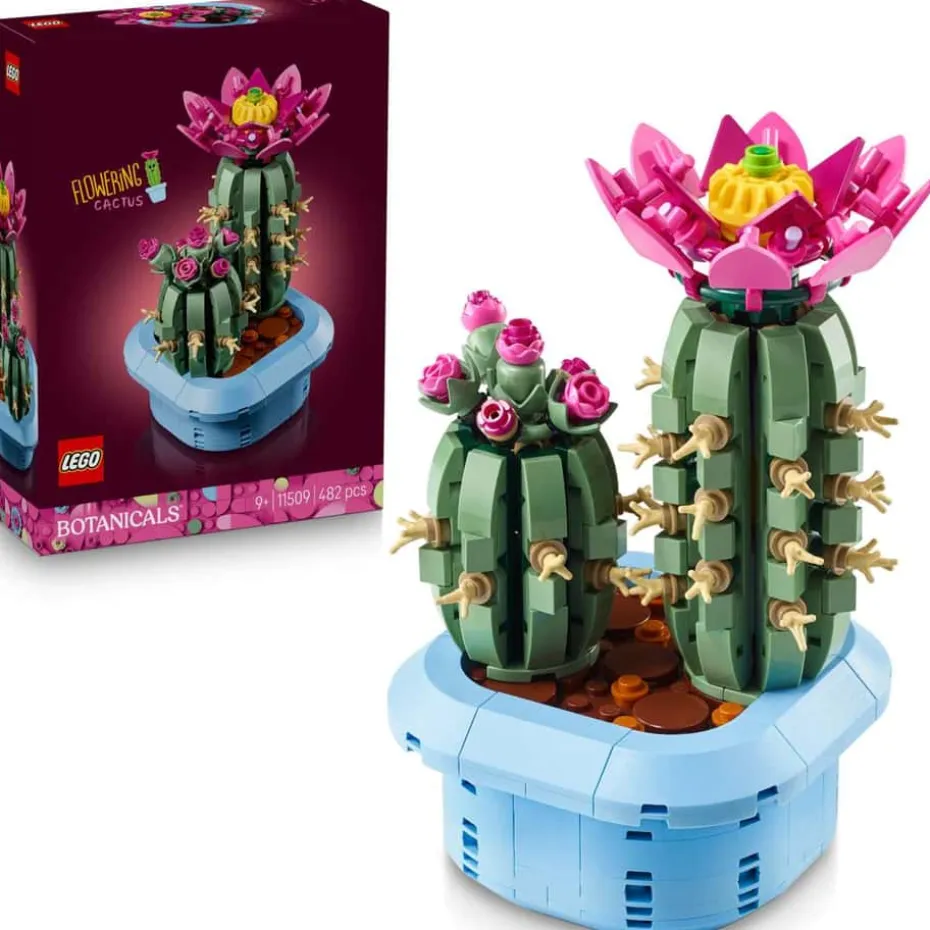 LEGO® Botanicals Blomstrende kaktus 11509