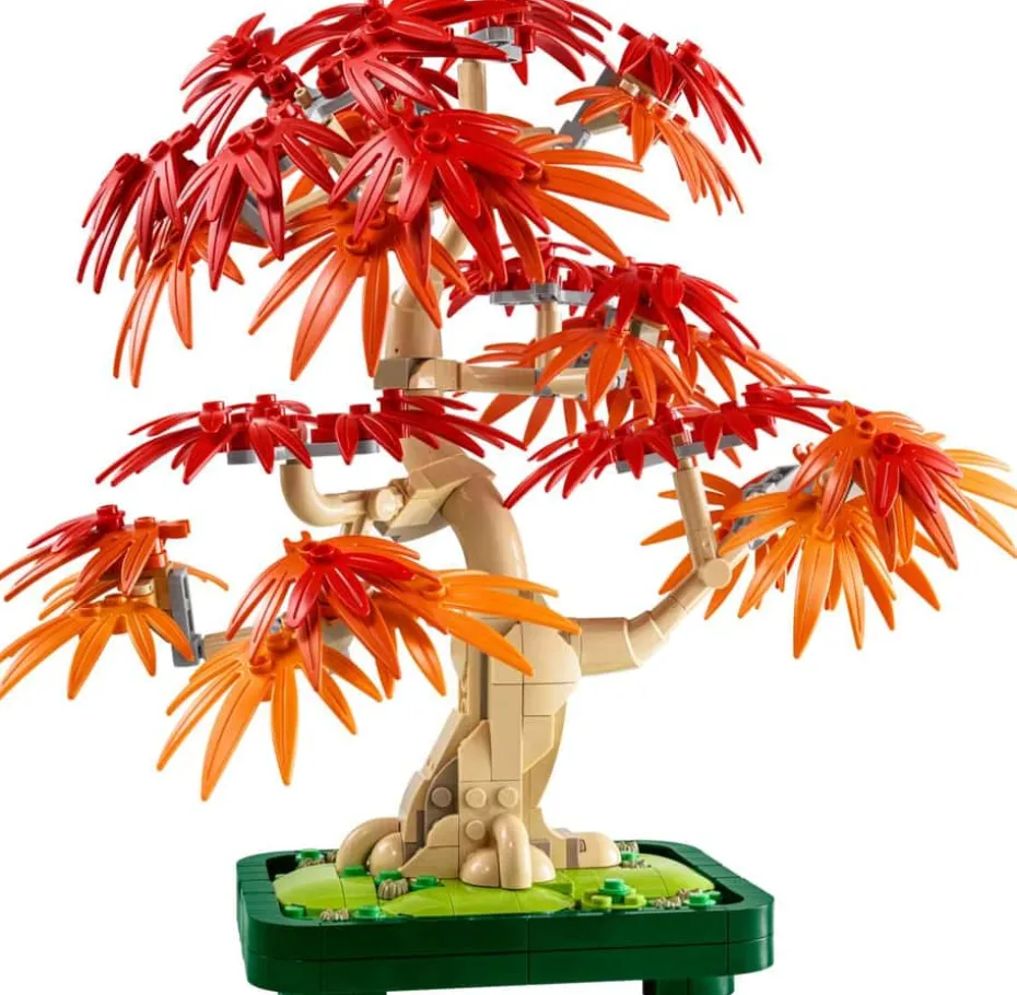 LEGO® Botanicals Bonsaitre: Japansk lønn 10348