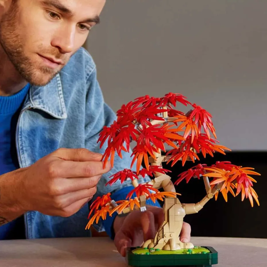 LEGO® Botanicals Bonsaitre: Japansk lønn 10348