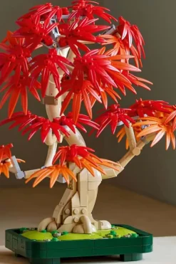 LEGO® Botanicals Bonsaitre: Japansk lønn 10348
