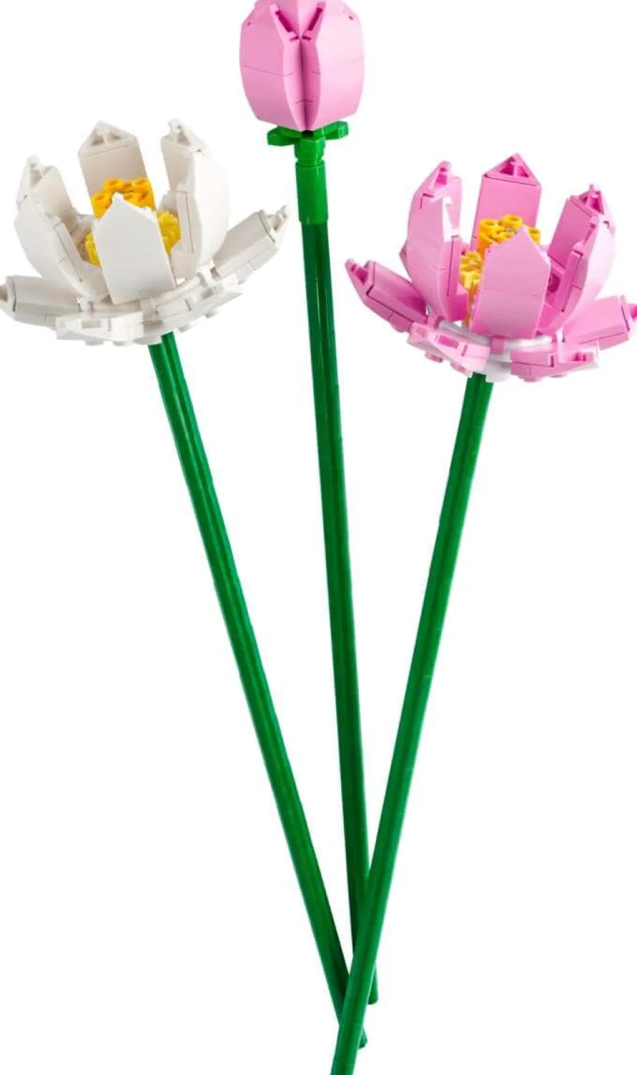 LEGO® Botanicals Lotusblomster 40647