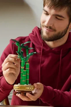 LEGO® Botanicals Lykkebambus 10344