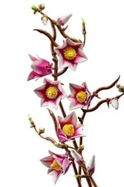 LEGO® Botanicals Magnolia-grener 11510