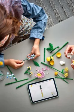 LEGO® Botanicals Søt sommerbukett 10347