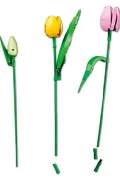 LEGO® Botanicals Tulipanbukett 11501