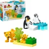 LEGO® DUPLO® Town Villdyrfamilier: Pingviner og løver 10442